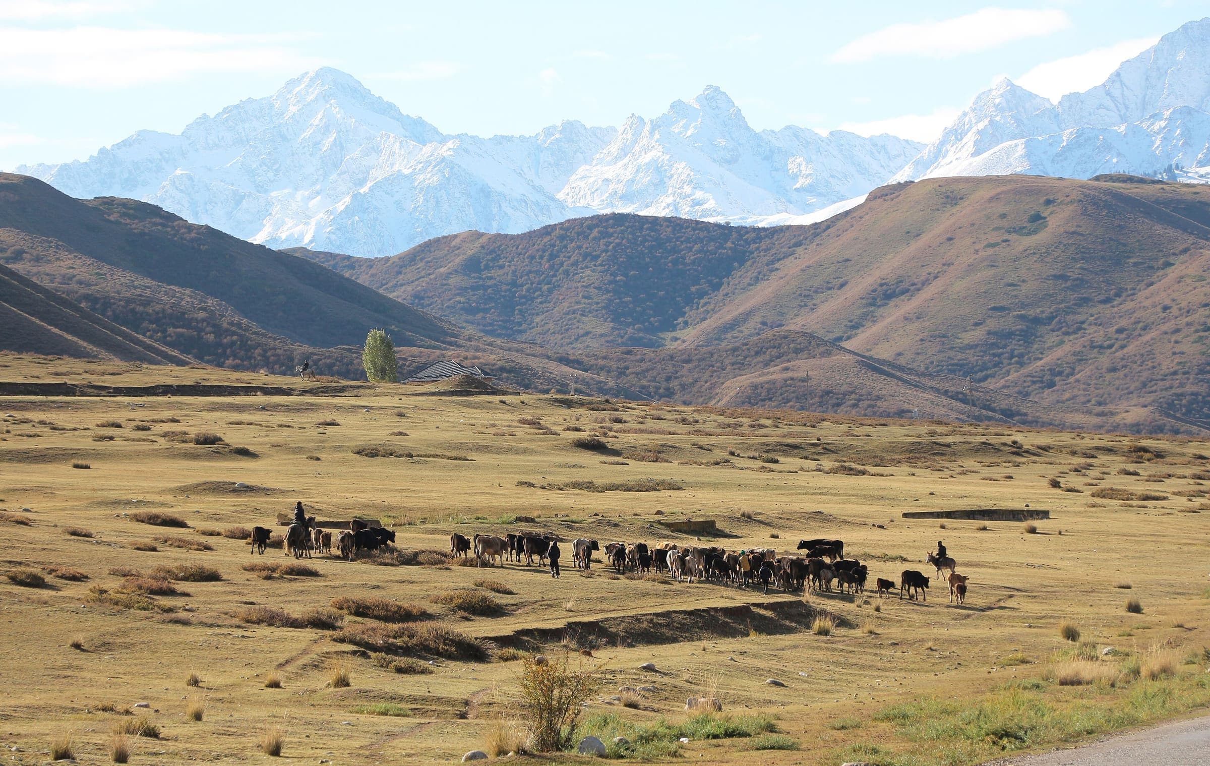 Tian Shan high country, Kyrgyzstan