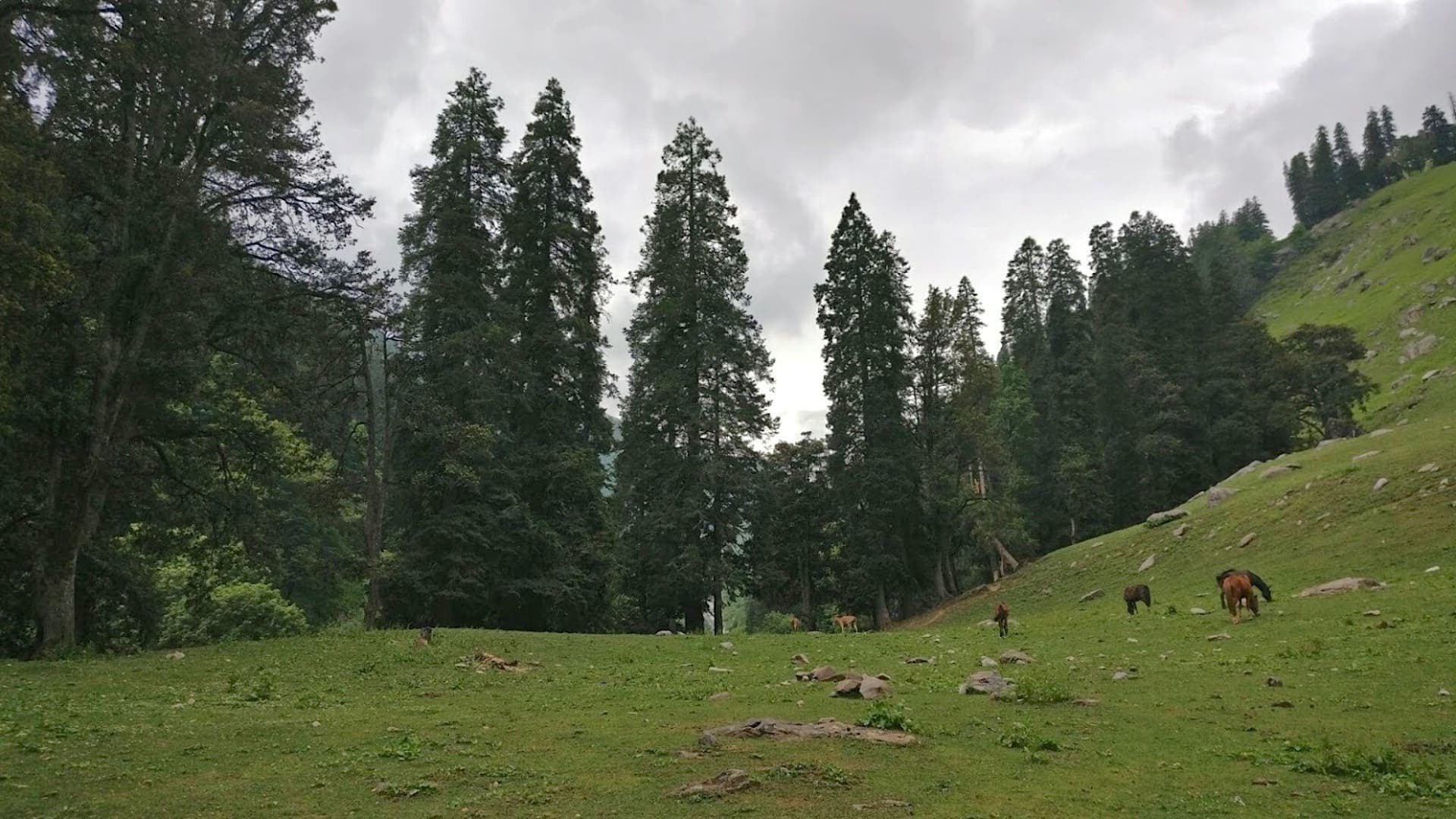 Buran Ghati high country, Himachal Pradesh