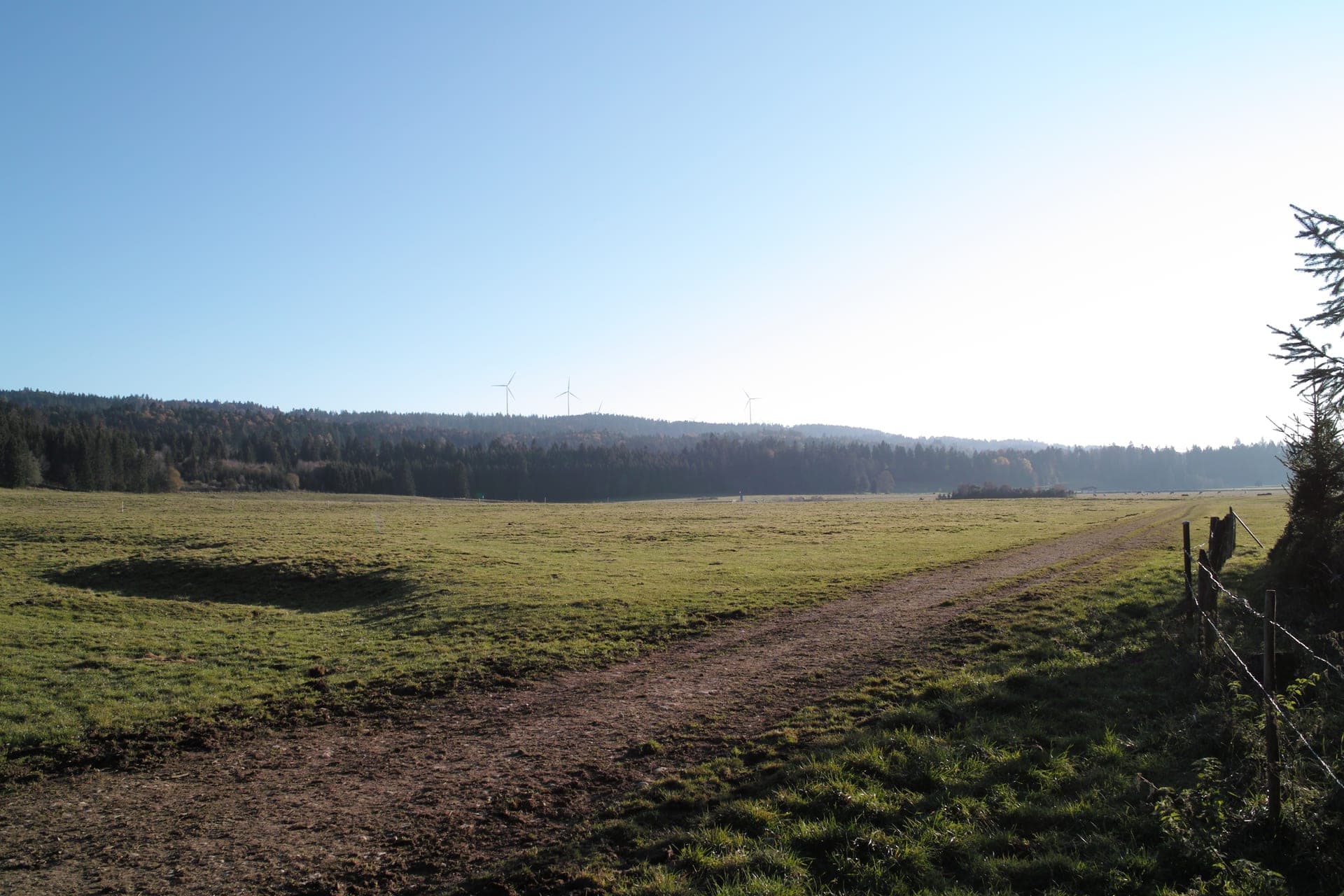 Jura pasture on the Chemin du Jura