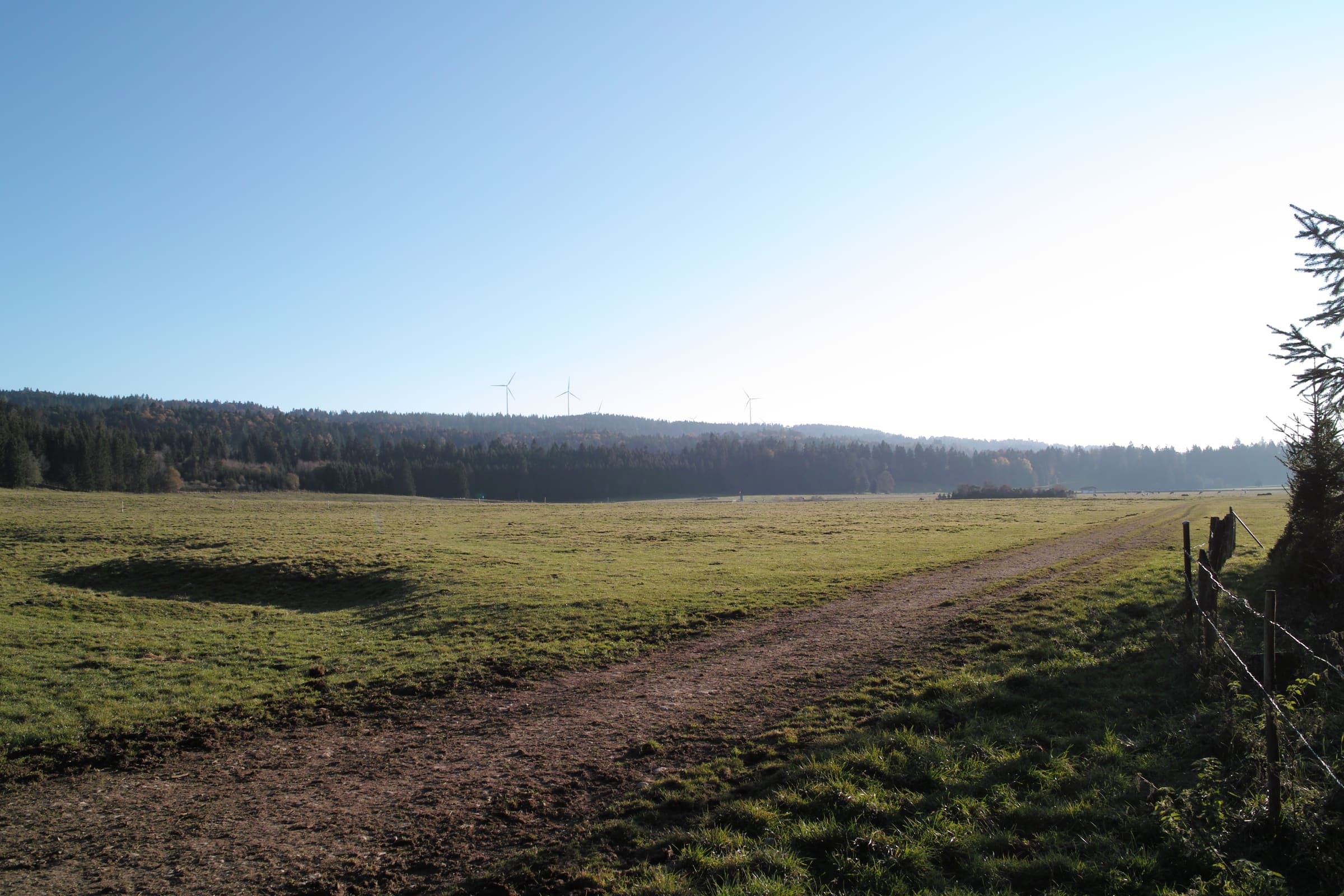 Jura pasture on the Chemin du Jura