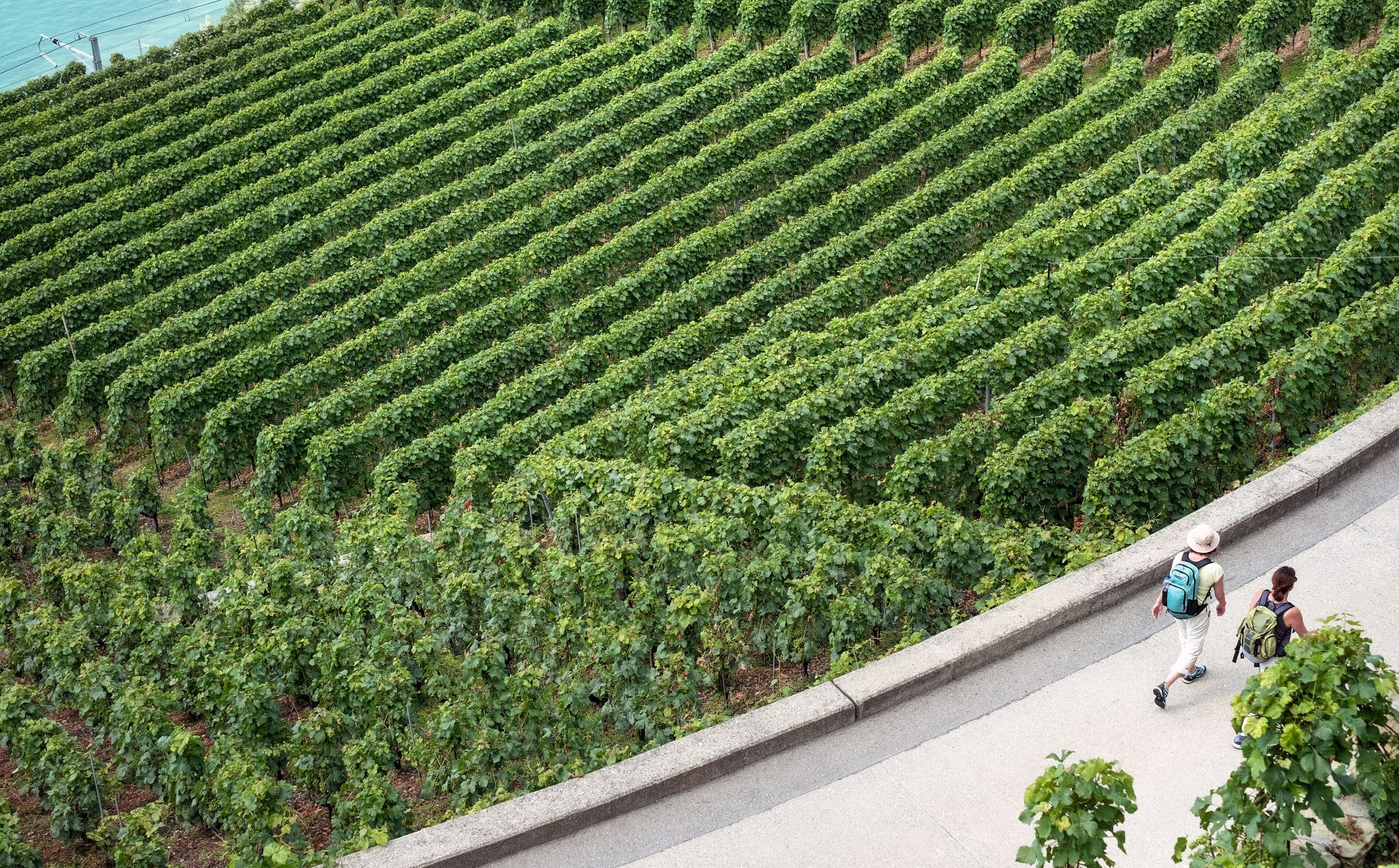 Valais vineyard country on the Chemin du vignoble