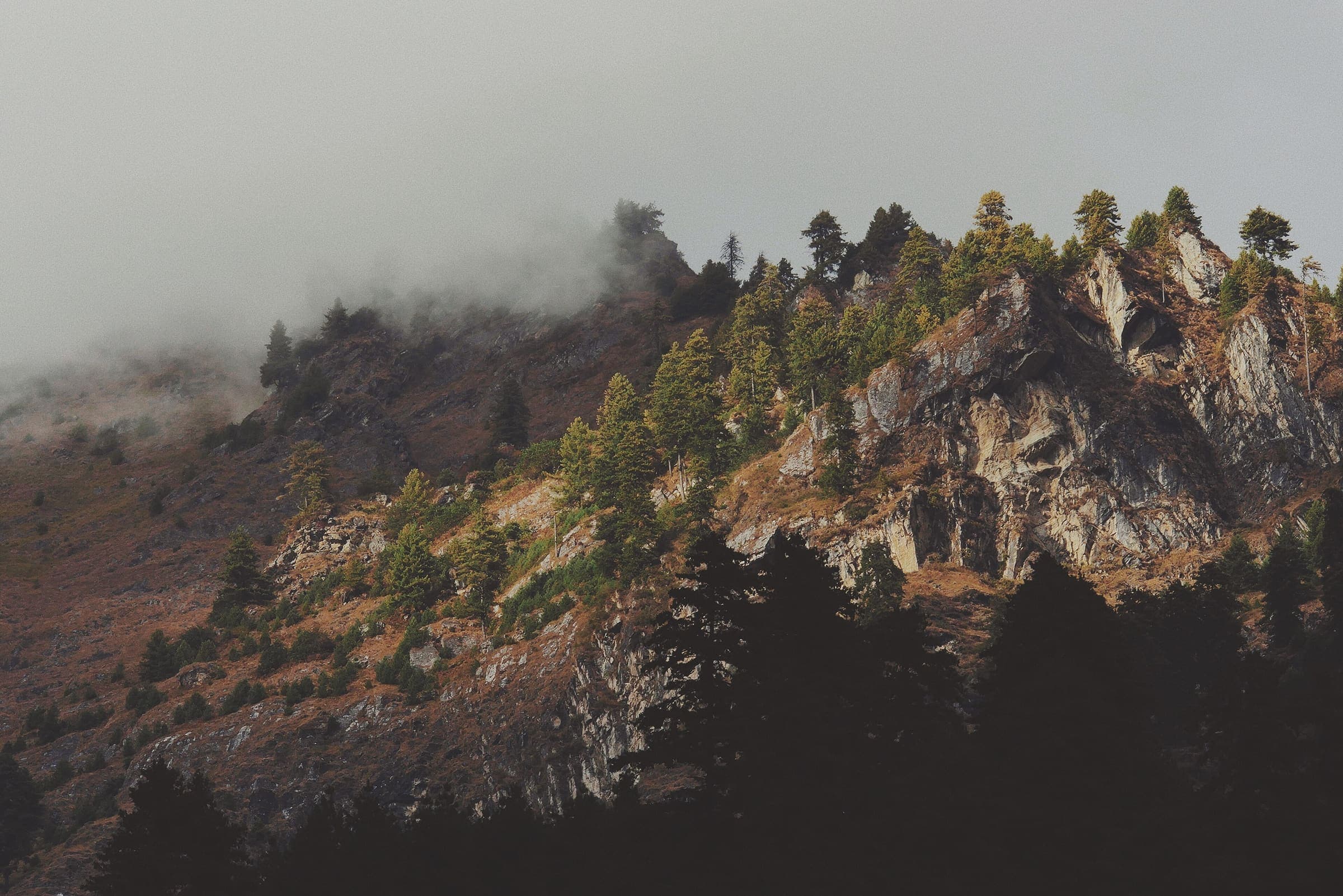 Himalayan trail country near Dharapani, Nepal