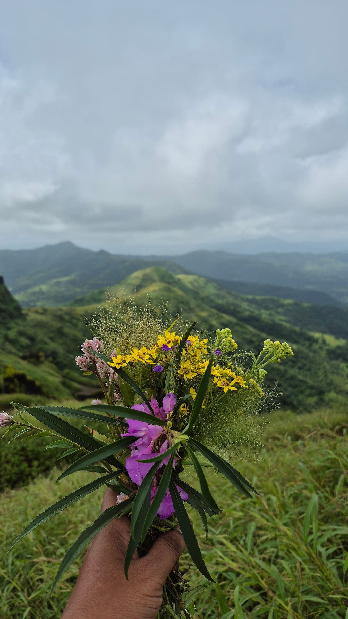 Devagiri fort country, Western Ghats, Maharashtra