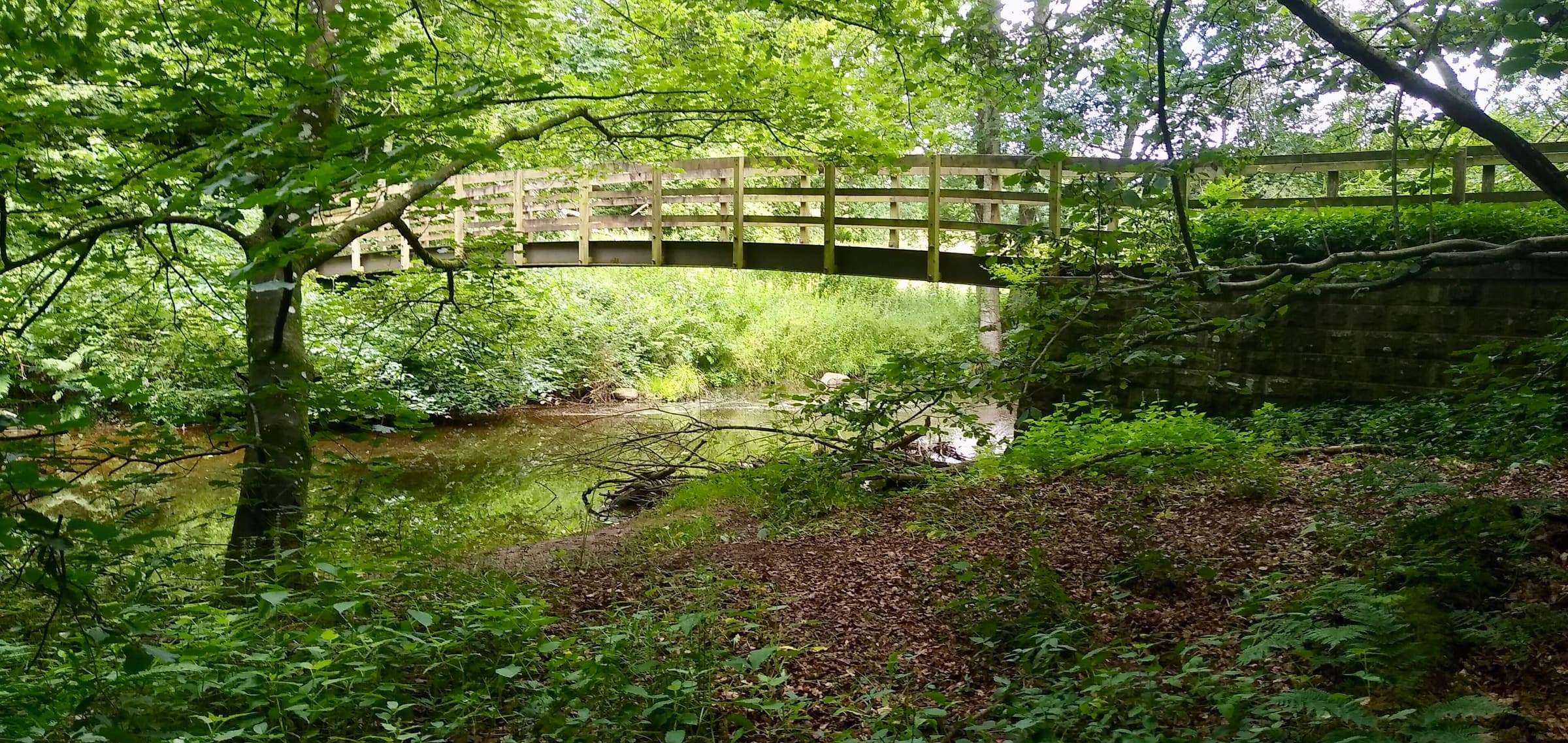 Hadrian's Wall Path near Walton, Cumbria