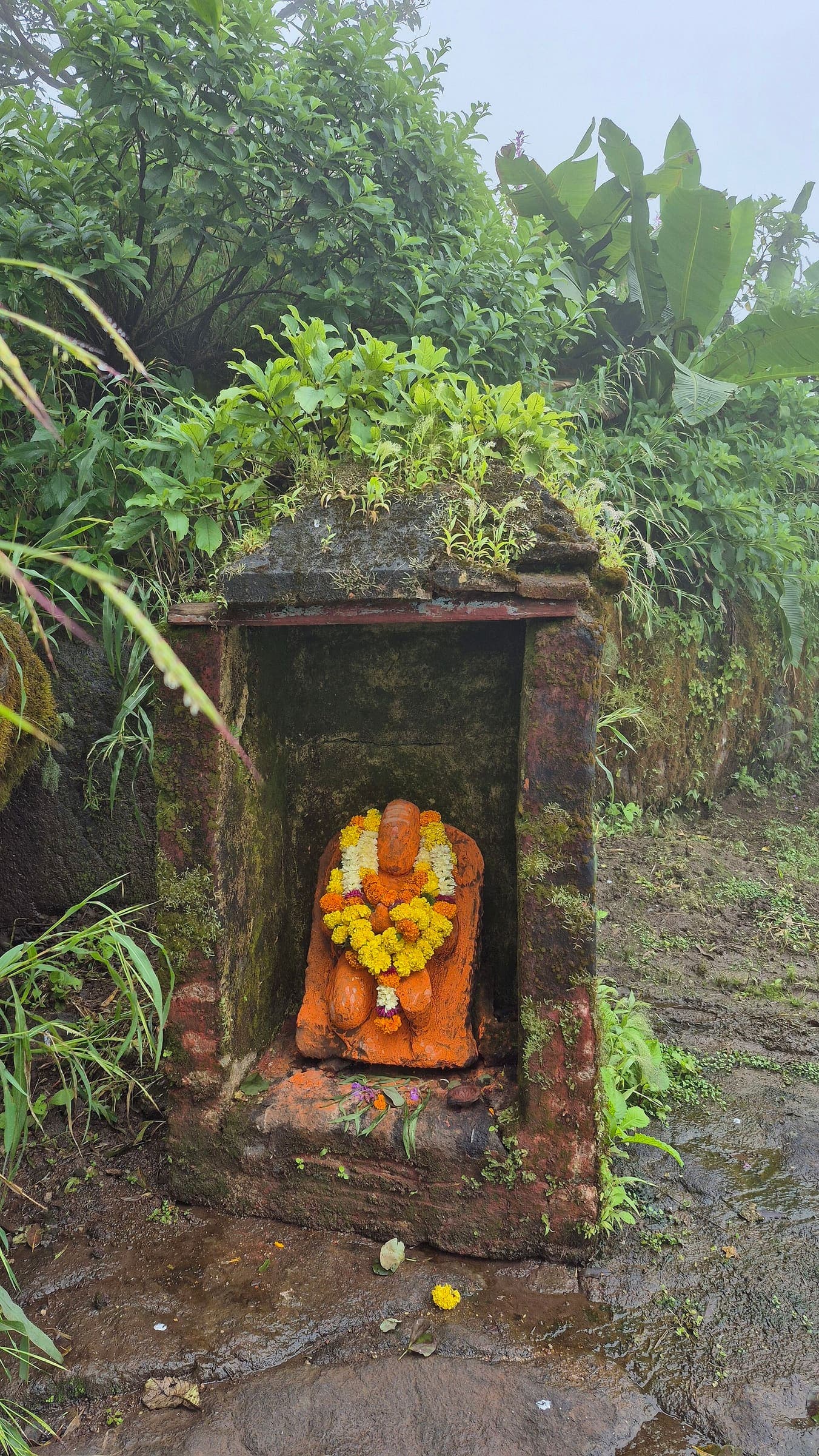 Hargad fort country, Western Ghats, Maharashtra