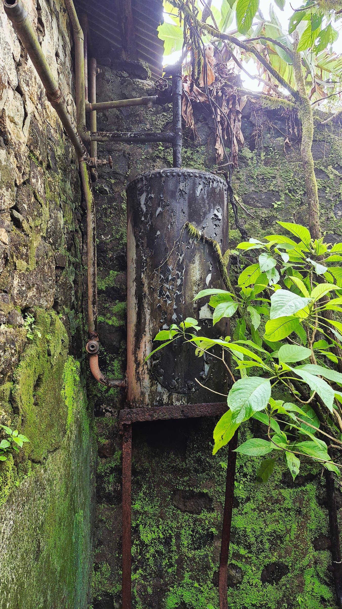 Harihar Fort fort country, Western Ghats, Maharashtra