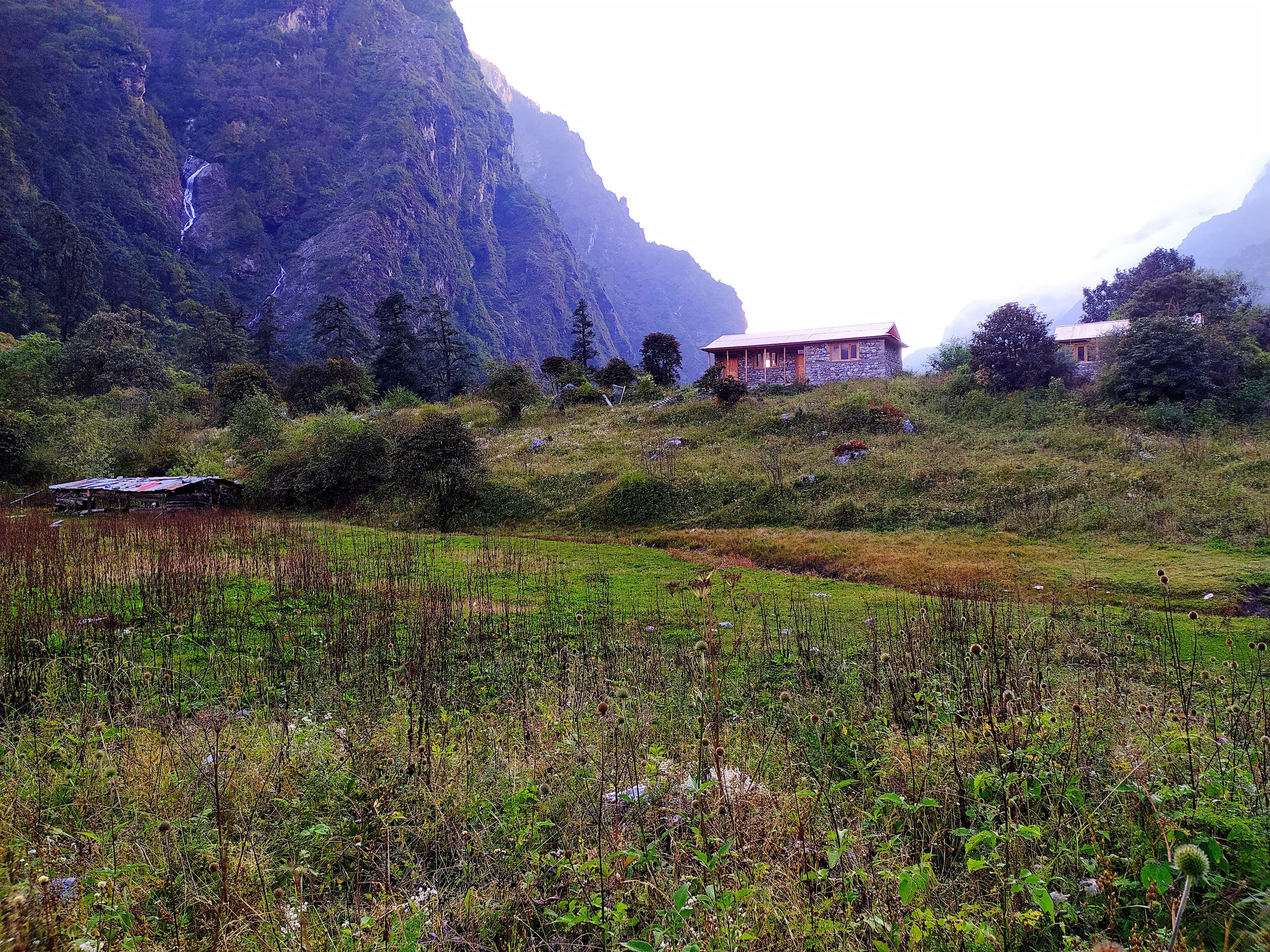 Helambu ridge country south of Langtang, Nepal