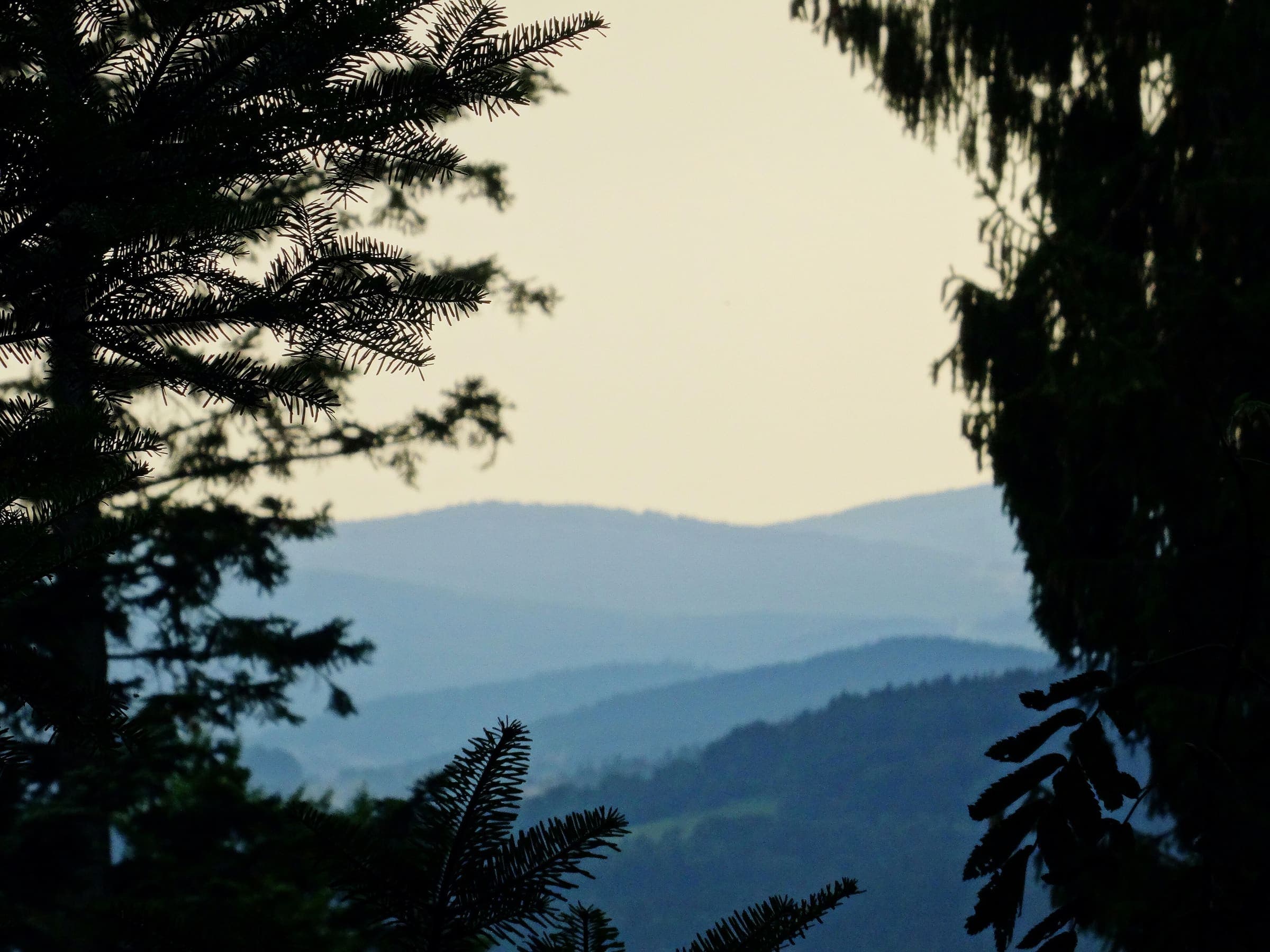 Hill country at sunset on the Kamptalseenweg corridor, Austria