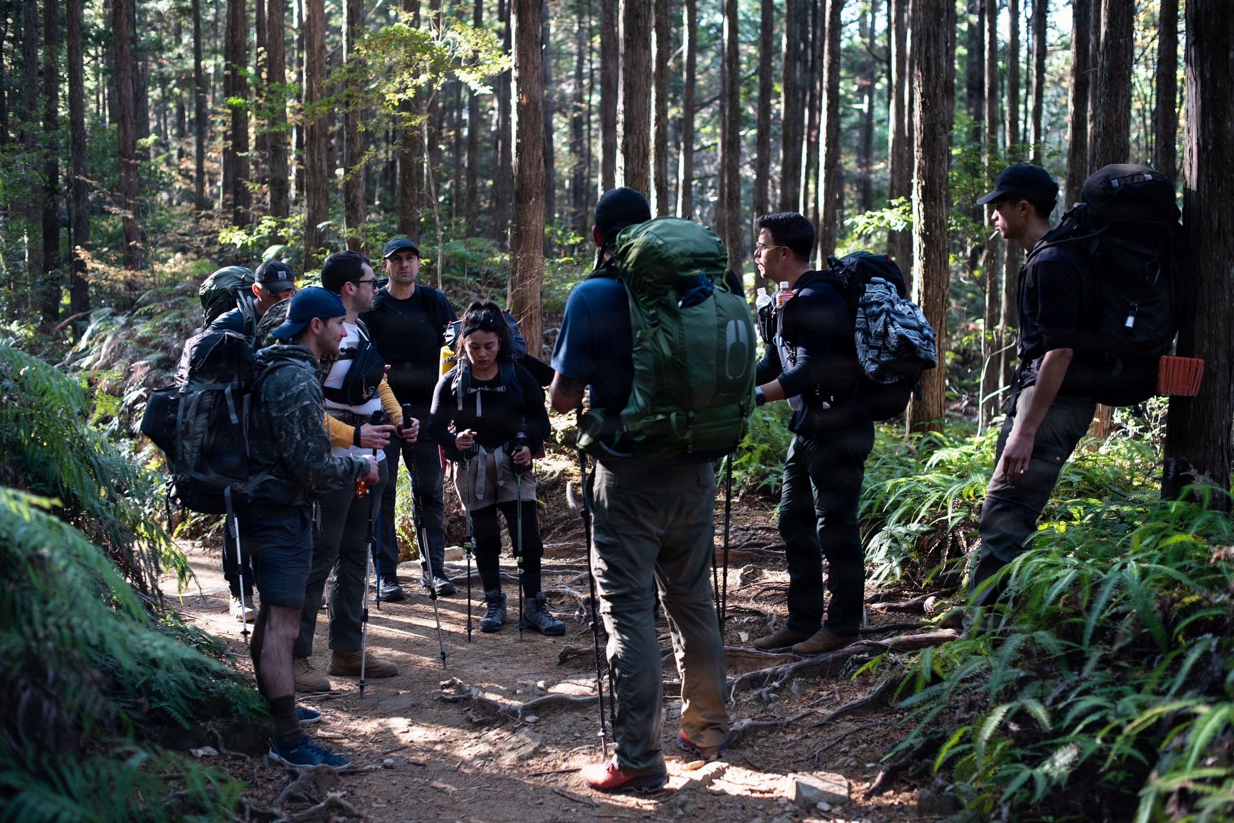 Walkers on the Kumano Kodo Nakahechi pilgrimage path, Japan