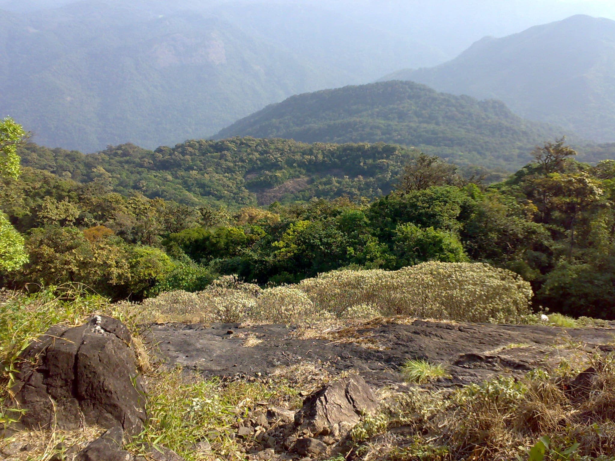 Kumara Parvatha, Western Ghats, Karnataka