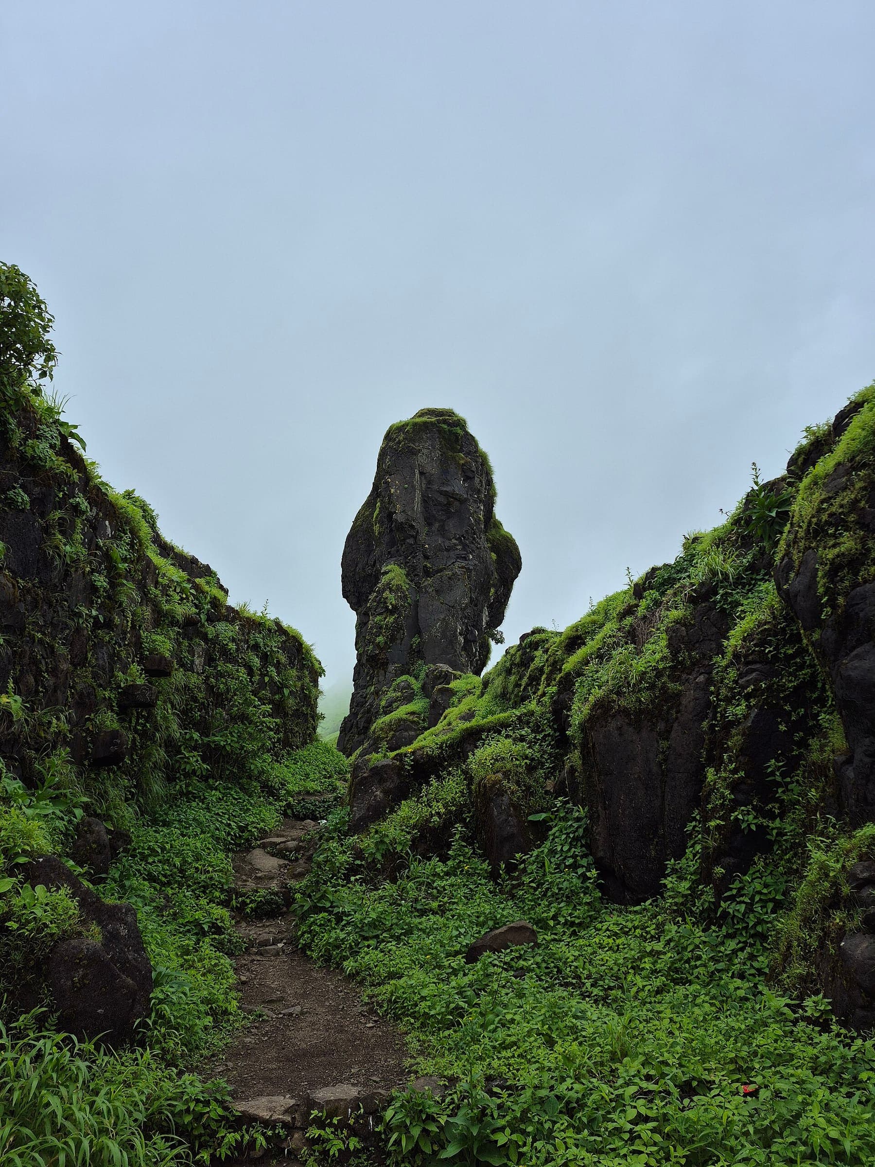 Pabargad fort country, Western Ghats, Maharashtra