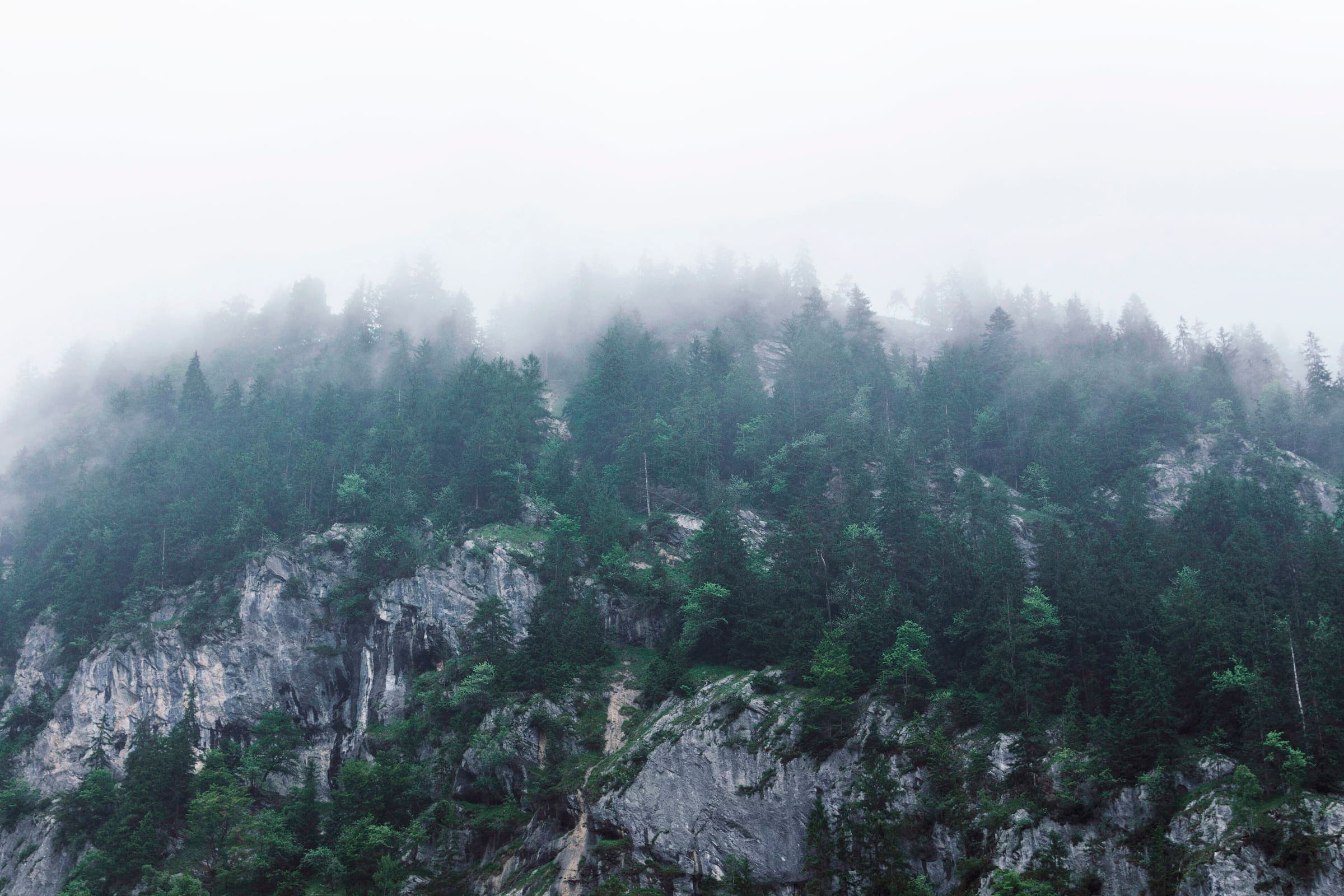 Allmendhubel above Lauterbrunnen, Switzerland