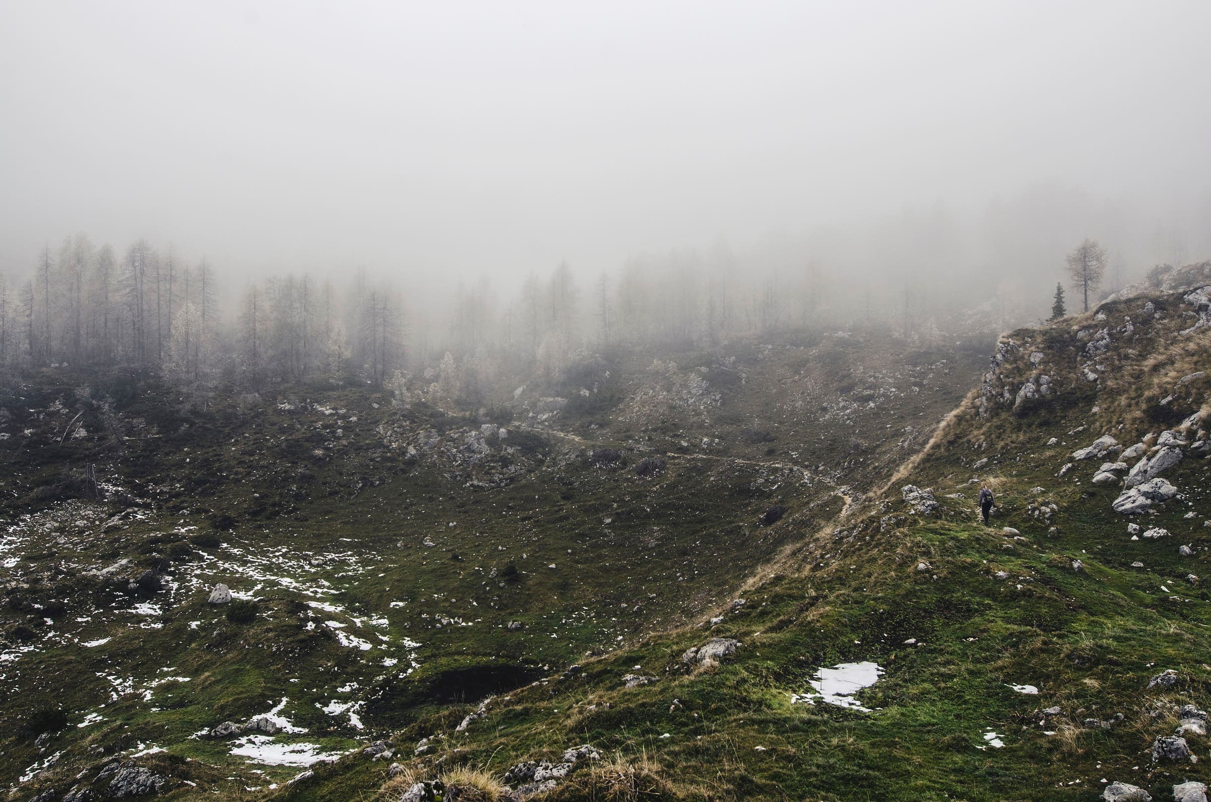 A Knafelc blaze on a Slovenian hiking path