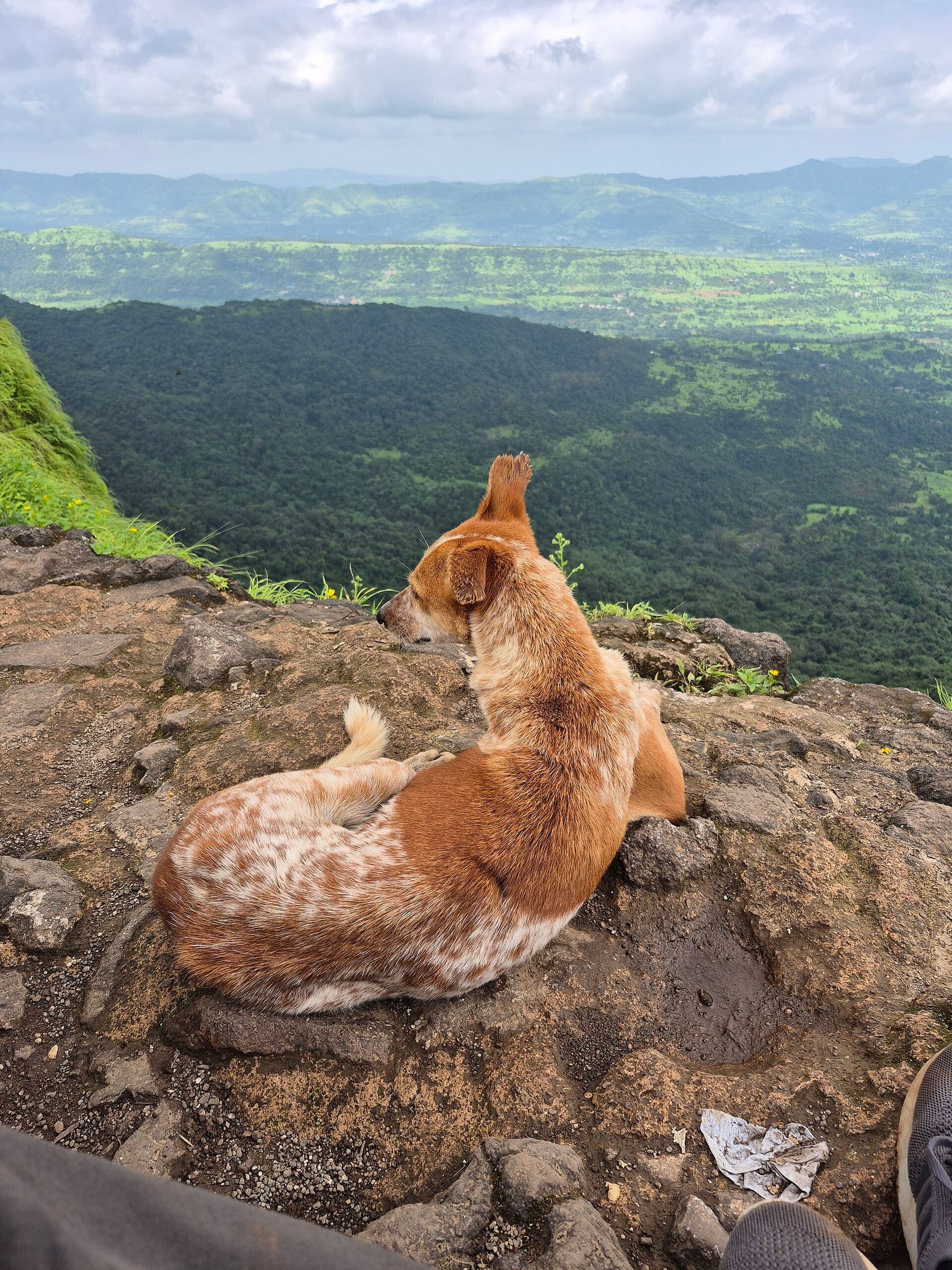 Peb 1 fort country, Western Ghats, Maharashtra