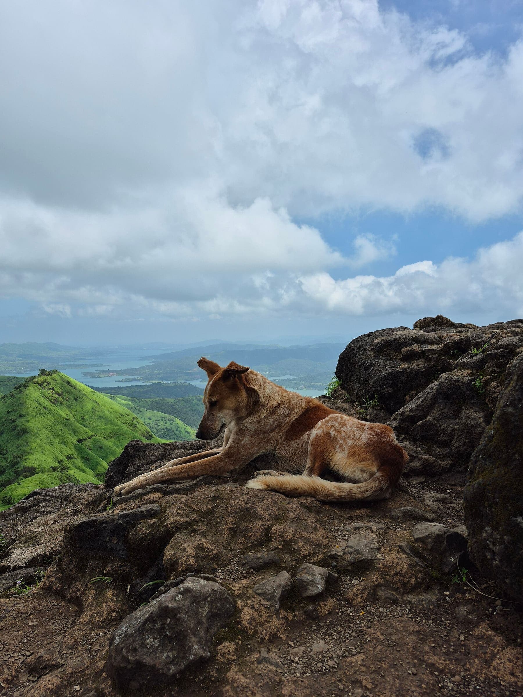 Peb 3 fort country, Western Ghats, Maharashtra