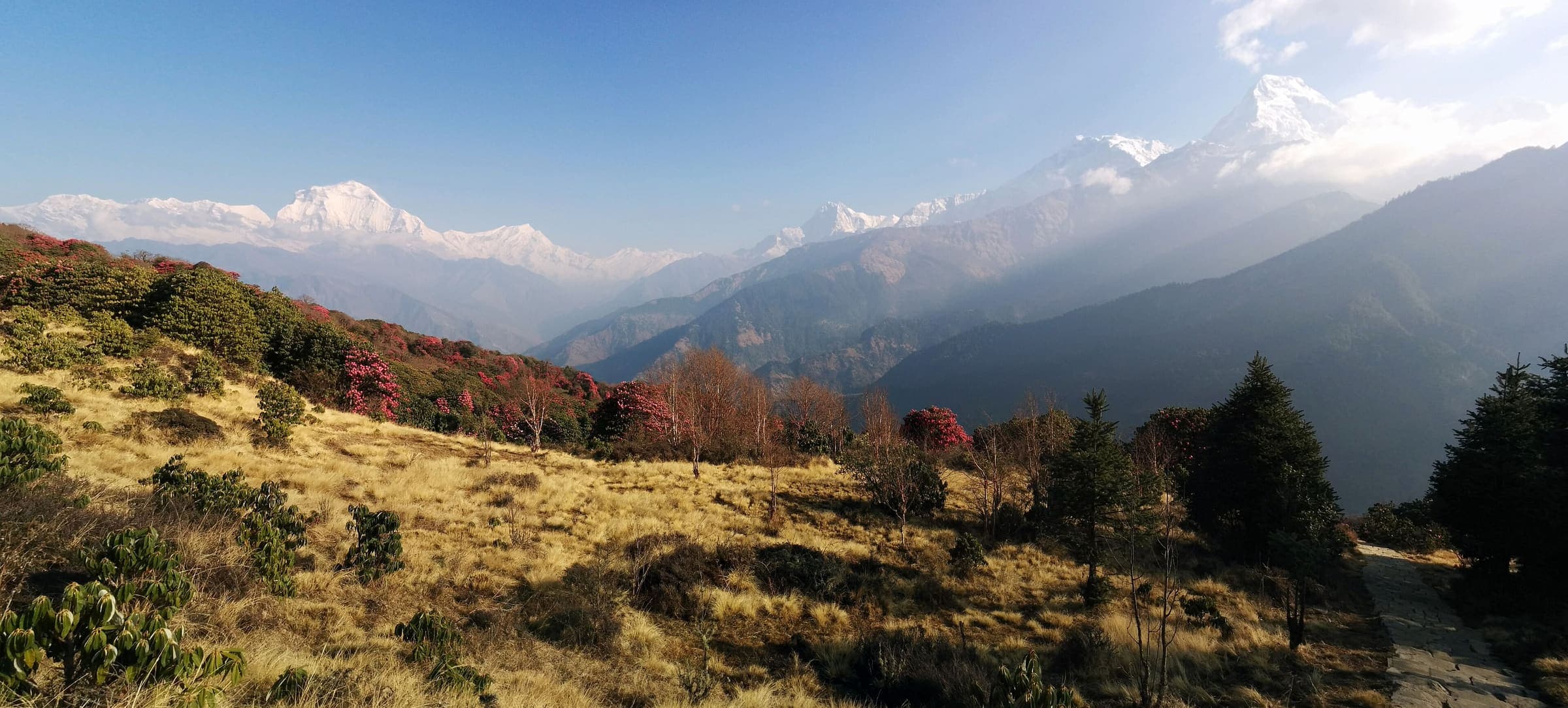 Poon Hill above Ghorepani, Annapurna, Nepal