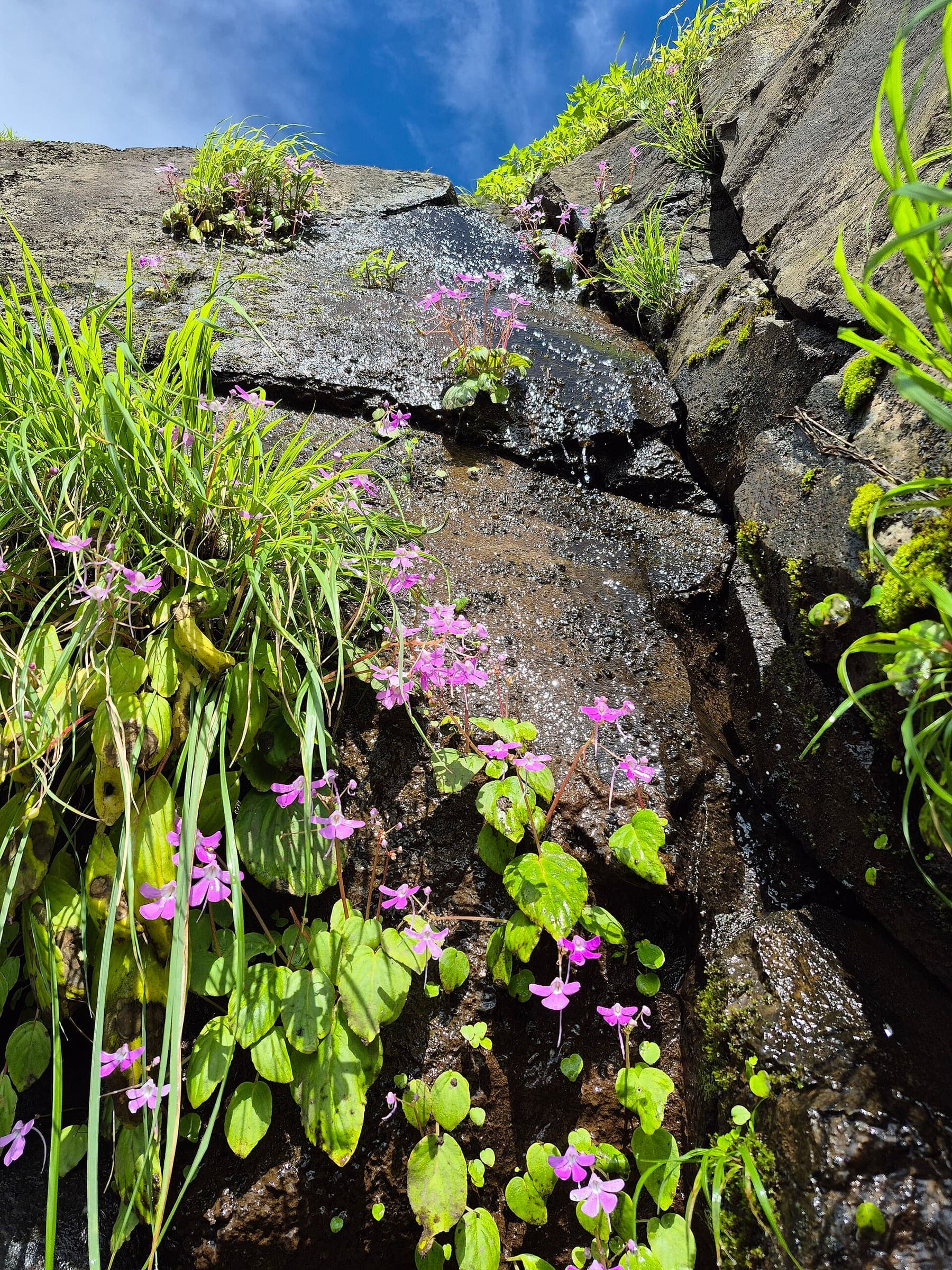 Rajgad fort country, Maharashtra