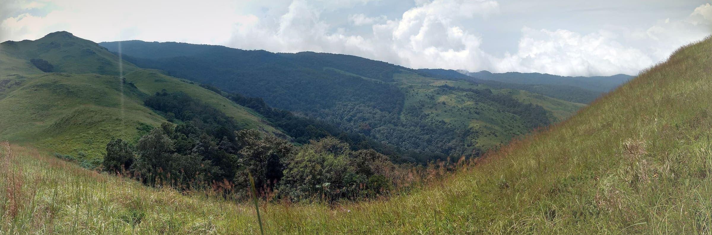 Kudremukh National Park, Western Ghats, Karnataka