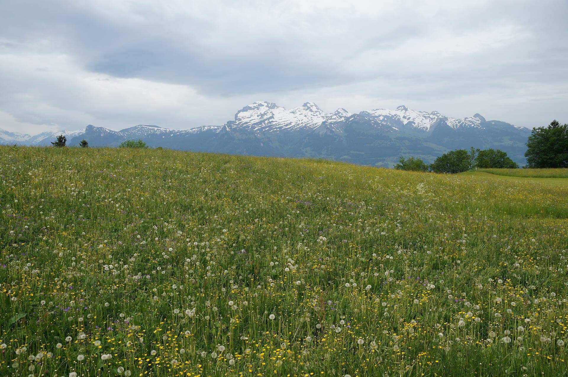 Rhine Valley high path toward the Alvier