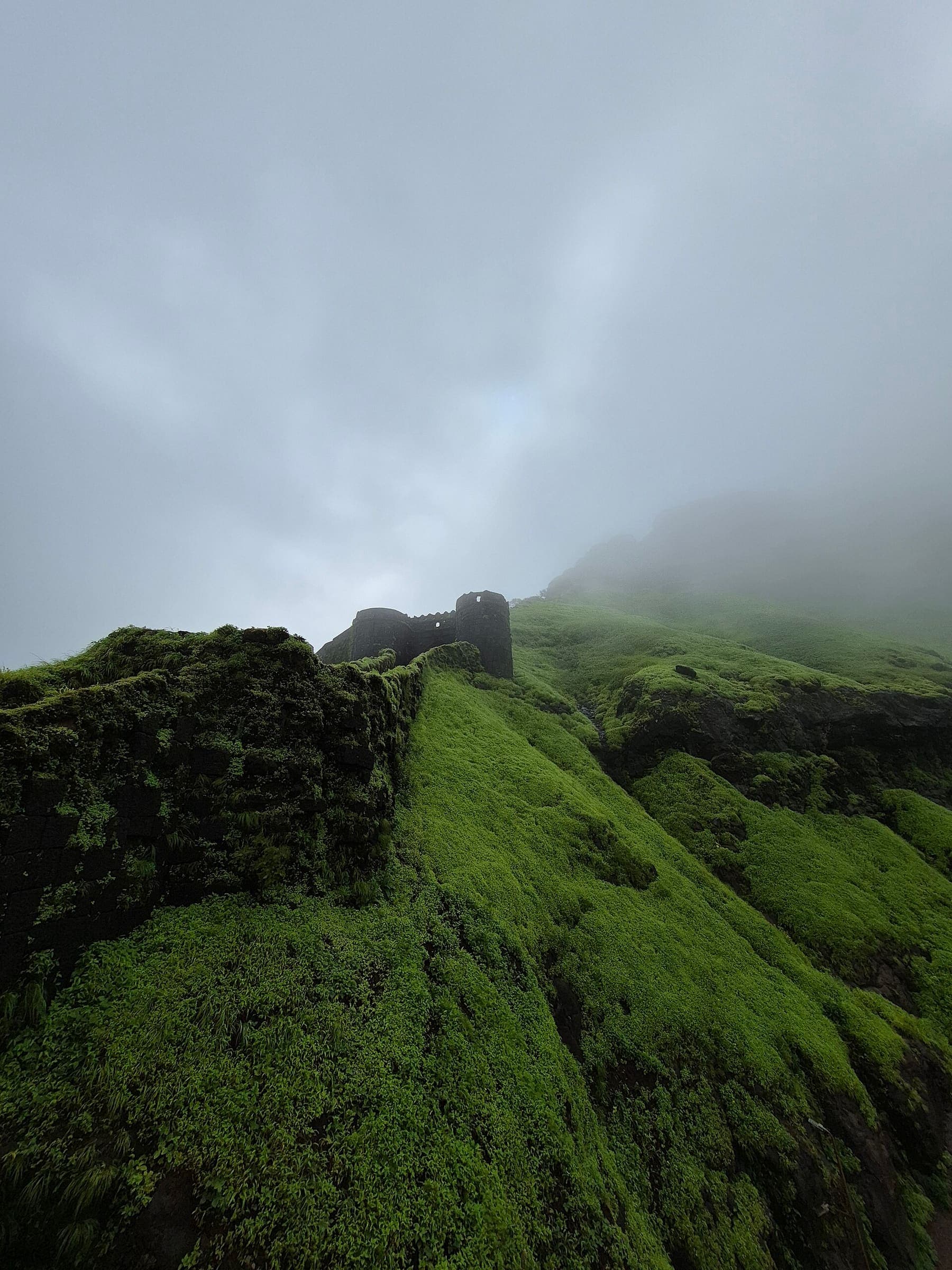 Torna fort country, Western Ghats, Maharashtra